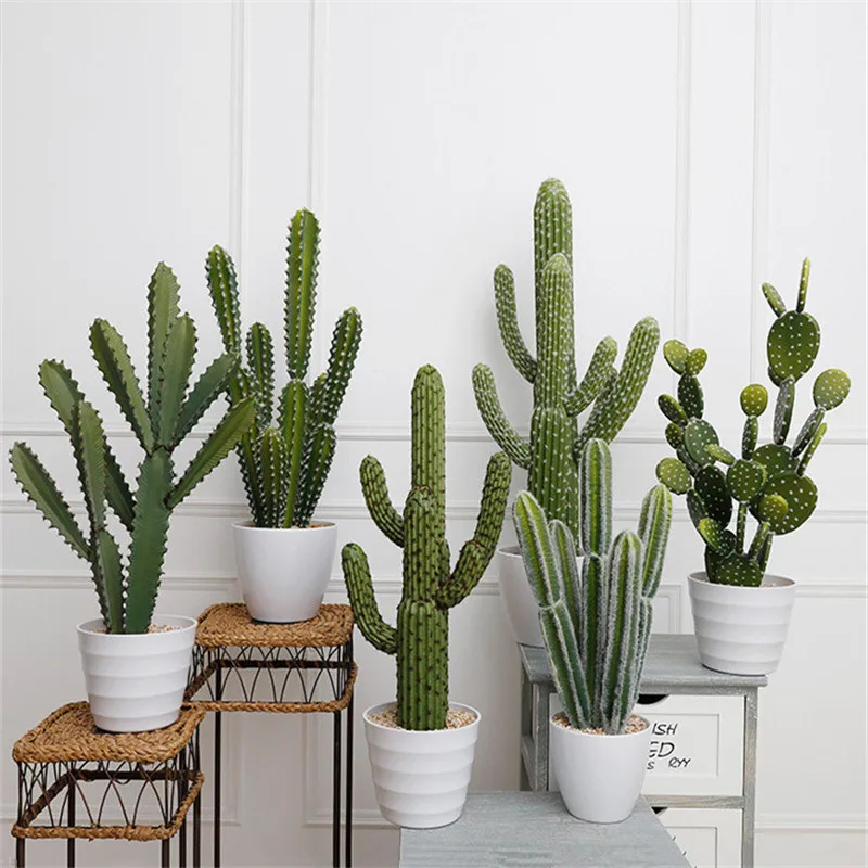 cactus Cactus craft, Cactus diy, Cactus inspired