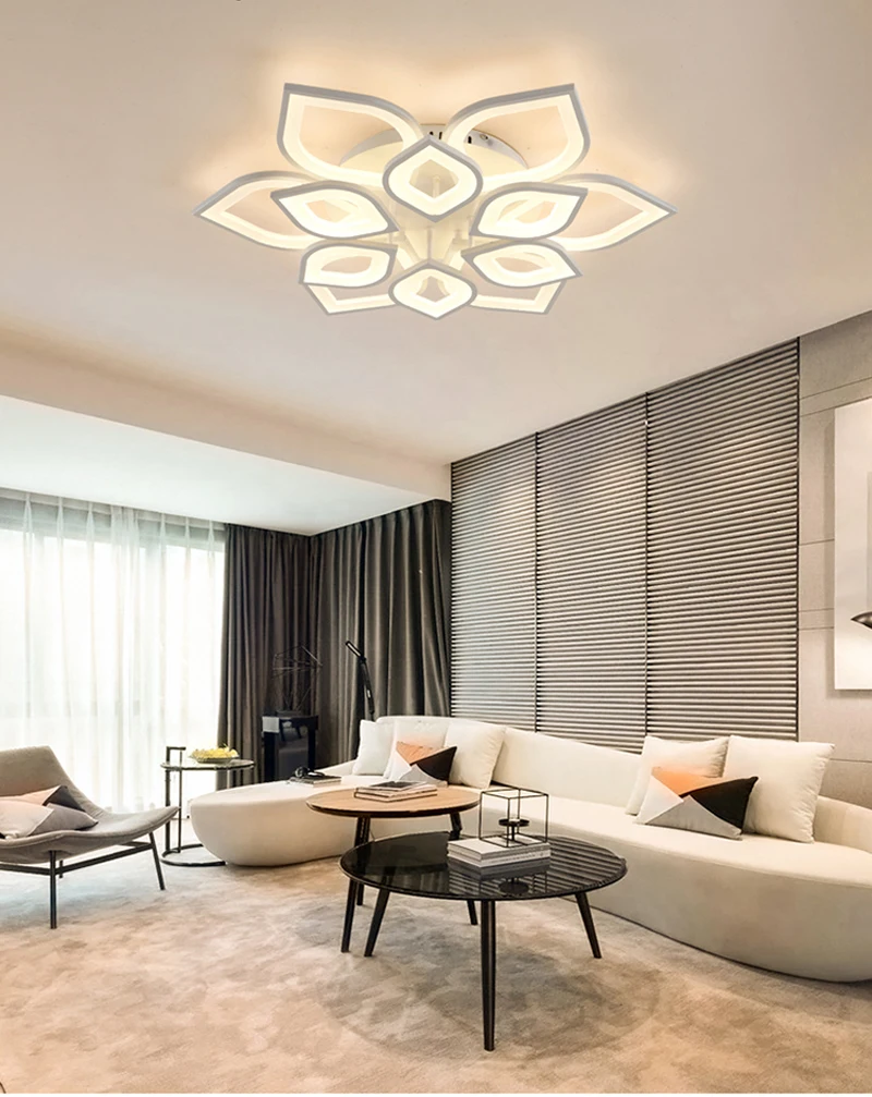 ceiling light (13)