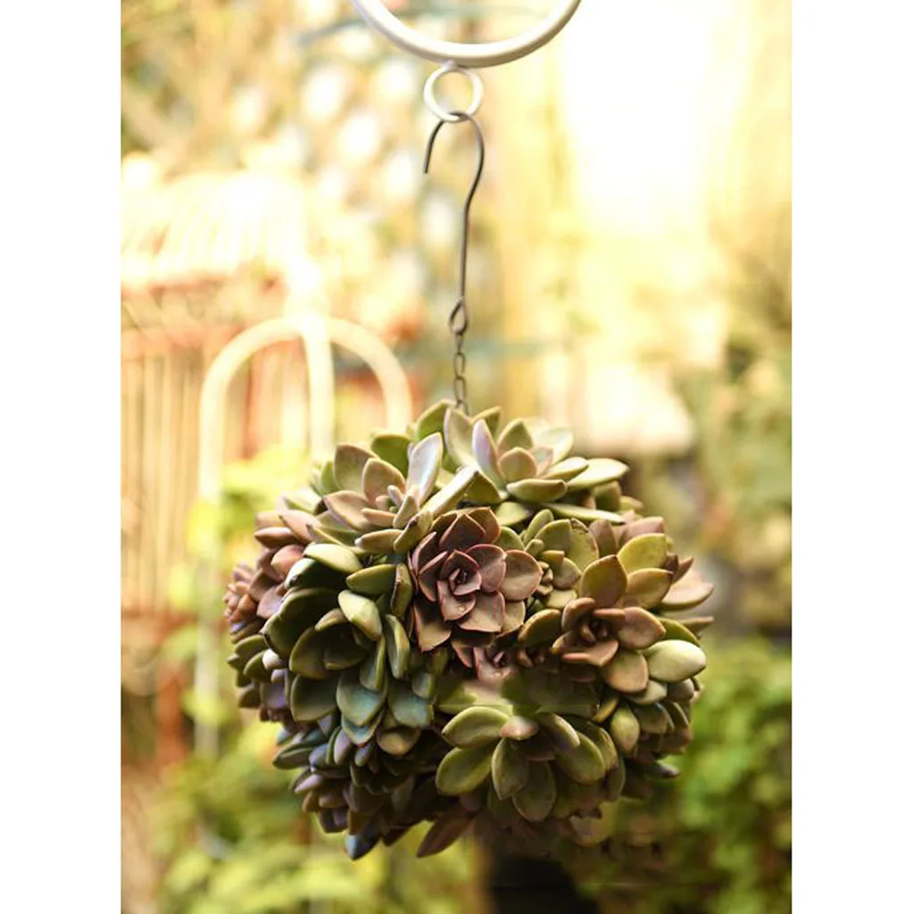 2Pcs 15cm Iron Ball Shape Succulent Pot Metal Hanging Planter Plant Holder
