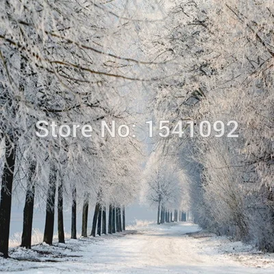 

10x10ft Customize free shipping Thin vinyl cloth photography backdrop scenery computer Printing background for photo studio f174