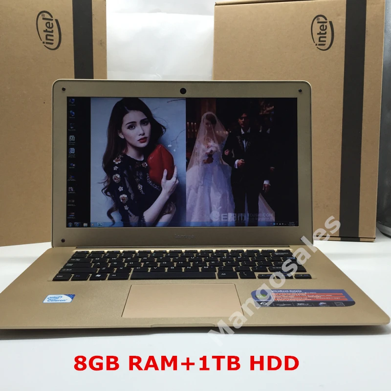  8GB Ram+1TB HDD Ultrathin Quad Core J1900 Fast Running Windows7/8.1 system Laptop Notebook Computer, free shipping,8gb laptop 