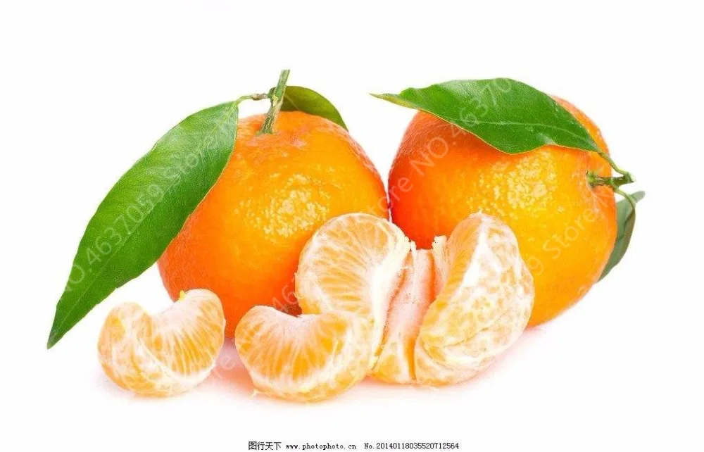 Cheap 100 pcs/ bag Edible Oranges Fruit Mandarin Bonsai Tree Citrus Pots Plants Mini Garden Juicy Sweet Garden Orange Sementes