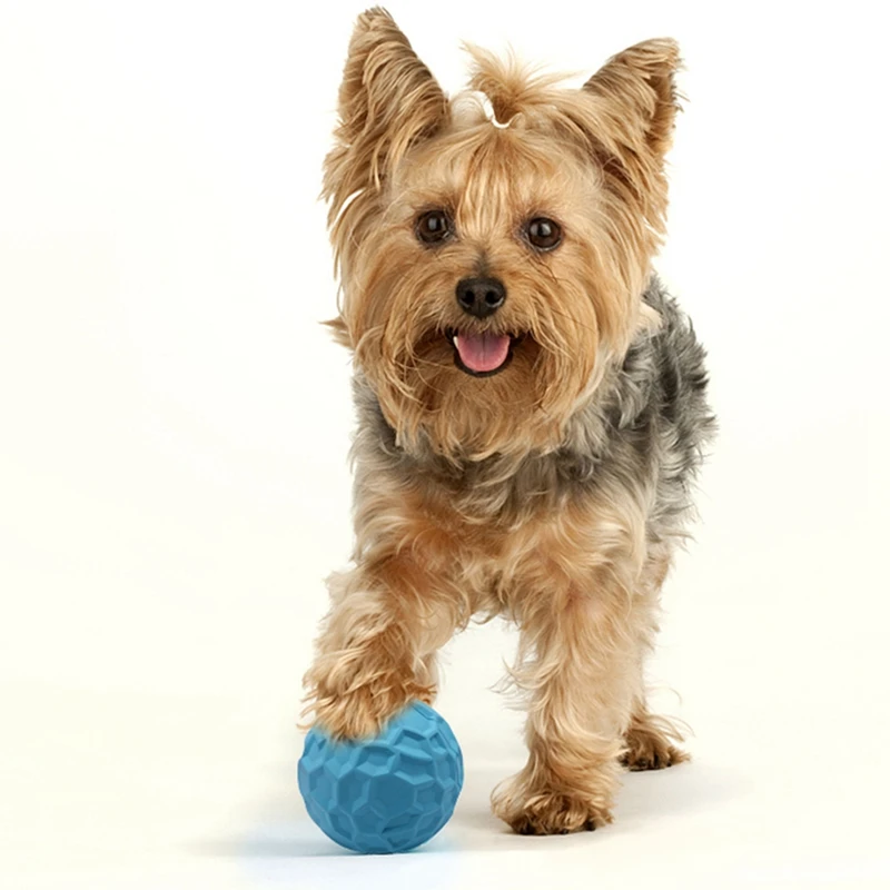 

1pc S/M Pet Molar Bite Resistant Training Chew Toy Orange/Blule Non-toxic Solid Natural Rubber Bouncing Ball For Dog Cat