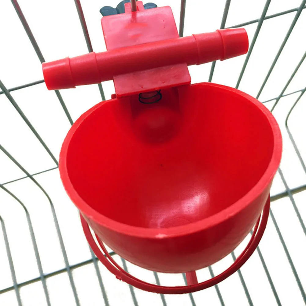 5 pcs Coop Chicken Water Bowl Poultry Bird Drinking Cups Quail waterer bowls Bird Feeding tools Automatic Bird Coop Feeder