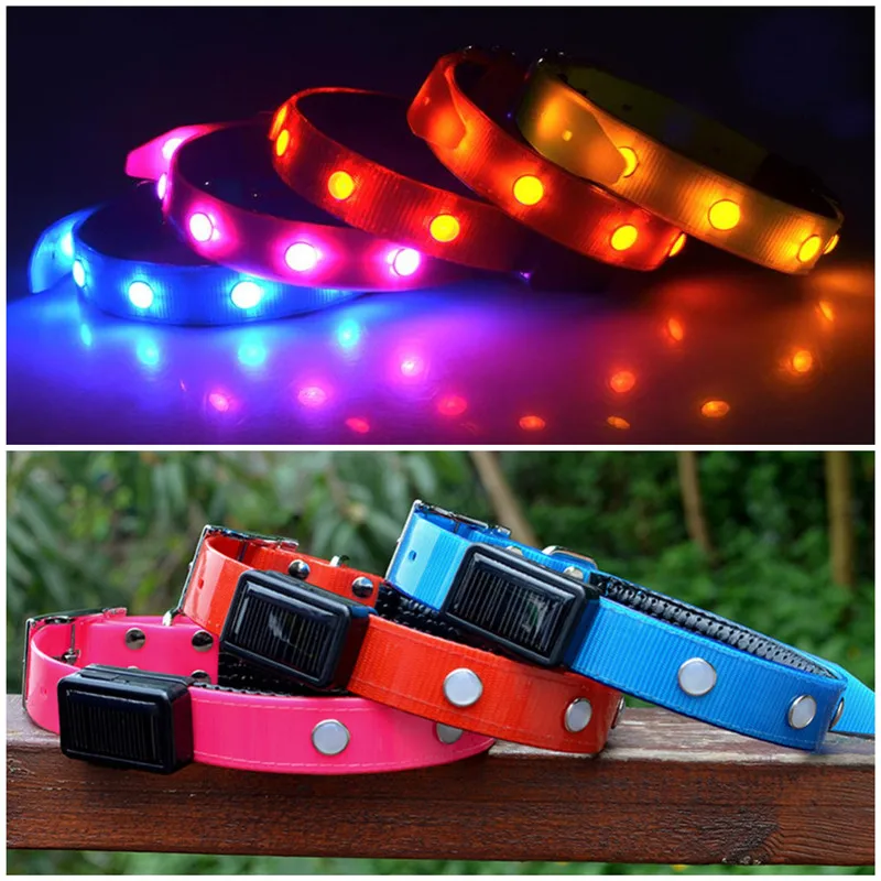 Eco Friendly Solar Charging Pet Collars Universal Size USB Charging Dog