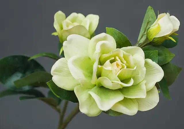 1 PC Flores Gardênia Artificial Vivid Camélia Flor De Seda para a Festa