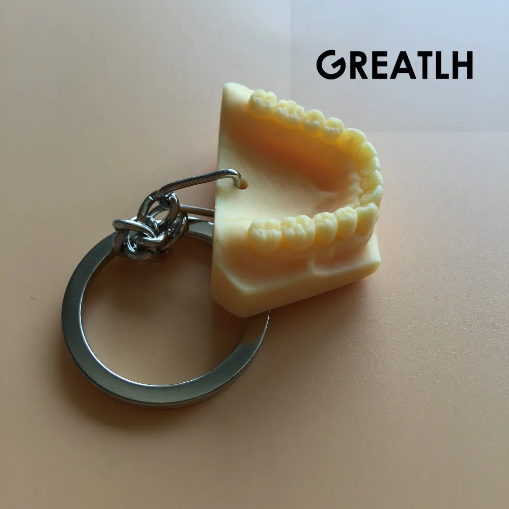 2 шт Стоматологическая мандибуль Зубы Модель красочный брелок мобильный цепь подарок для дантиста