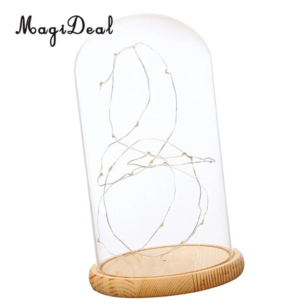 Glass Display Dome Cloche With Suspended LED Lights Tabletop Lamp Wedding Holiday Decor Crafts