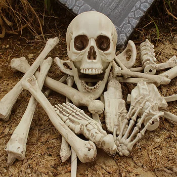 

[TOP] Tricky toy Skeleton Bones model Simulation Human Bones Horror toys halloween props Haunted House Decorations prank toy