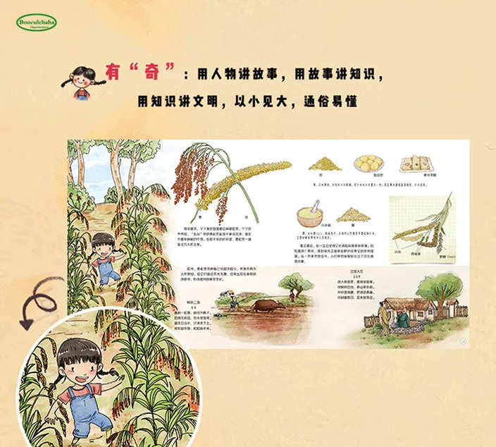 6_11