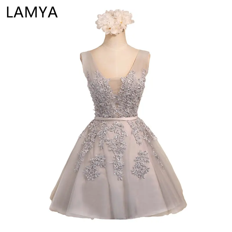 

LAMYA Pink V Neck Plus Size A line Lace Prom Dresses 2019 Gray Short Elegant Evening Party Gown Special Occasion Dress