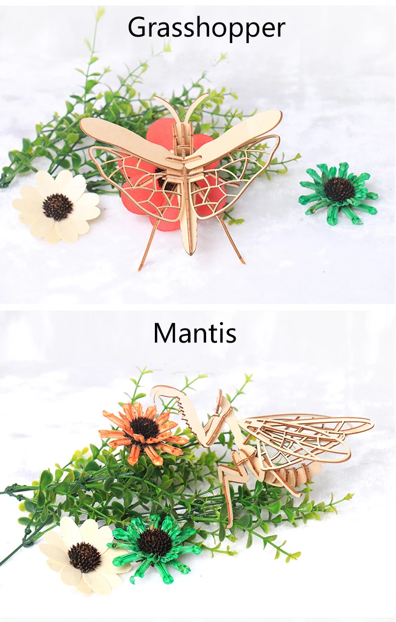 3D PUZZLE (5)
