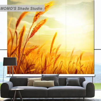 

MOMO Roller Blinds Painting Window Blinds Shades Blackout Zebra Blinds Fabric Roller Shutter Curtains Custom Size, Alice 531-534