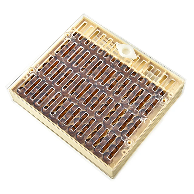 Műanyag Nevelő Queen Méh Kupkit Doboz Rendszer Méhkaros Szerszám Apikulture Kiegészítők - Image 2