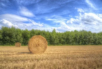 

Laeacco Rural Farm Hay Stack Tree Autumn Cloudy Sky Scenic Photographic Backgrounds Photography Backdrops Photocall Photo Studio