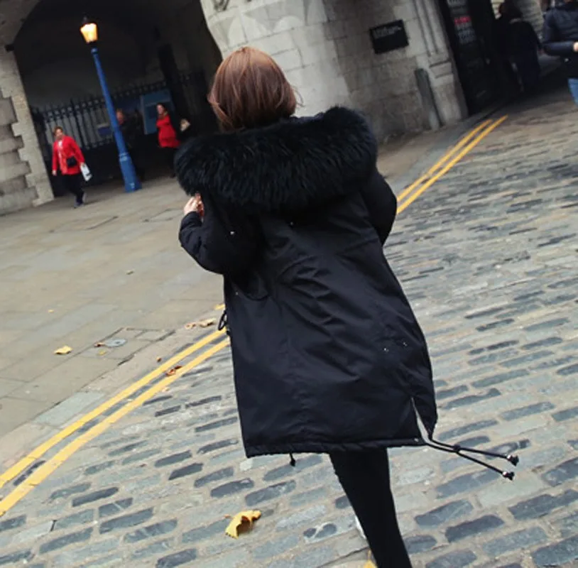 3491147335_231277194