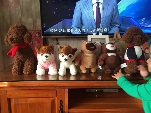 Cute Pomeranian Dog Plush Toys 4 sizes - Buyers Show 6