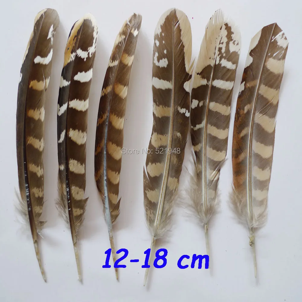 P1030485