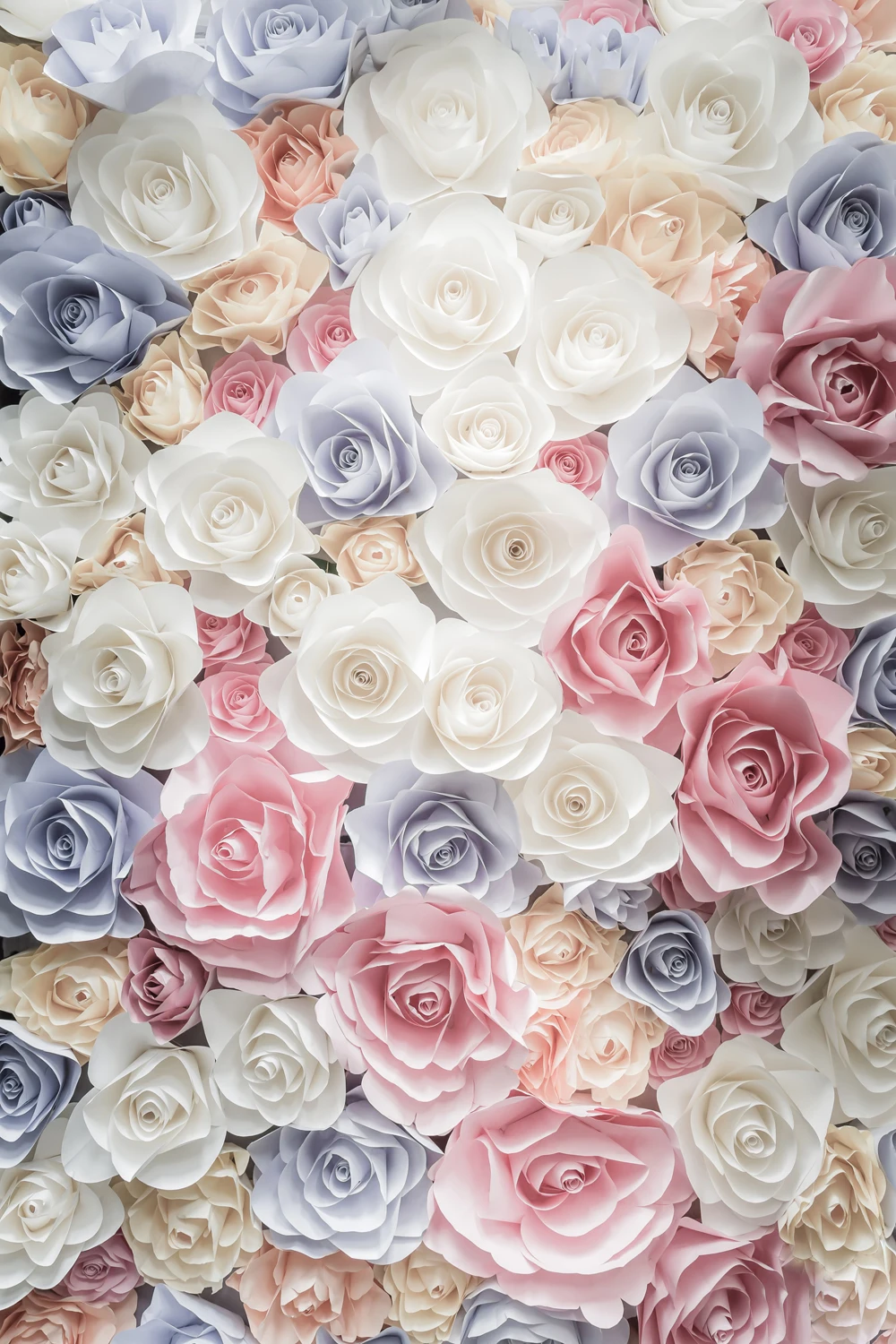 Floral background flowers photography studio photo backdrop background