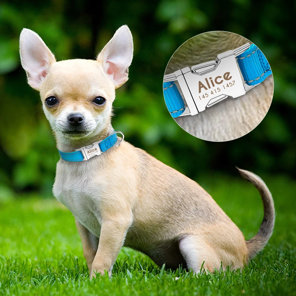 Dog Collar Nylon Reflective Anti-lost Tag For Small Medium Dogs