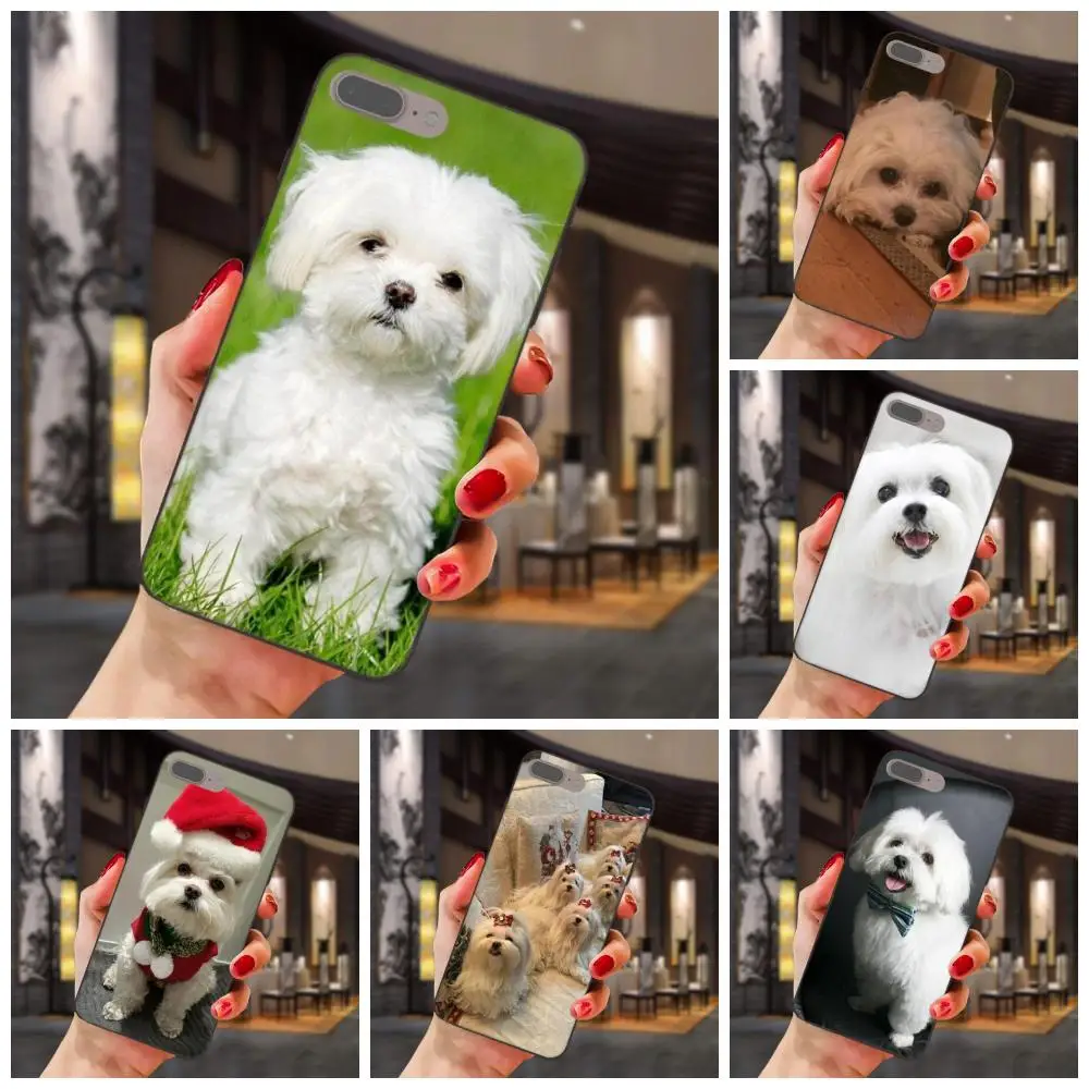 

For Xiaomi Redmi Note 2 3 4 4A 4X 5 5A 6 6A 7 Go Plus Pro S2 Y2 Soft TPU Protective Cover Case Maltese Dog