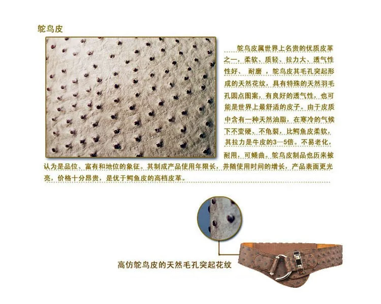 BD6A043AF8E0DE5845C4EDC04FEBD7AA