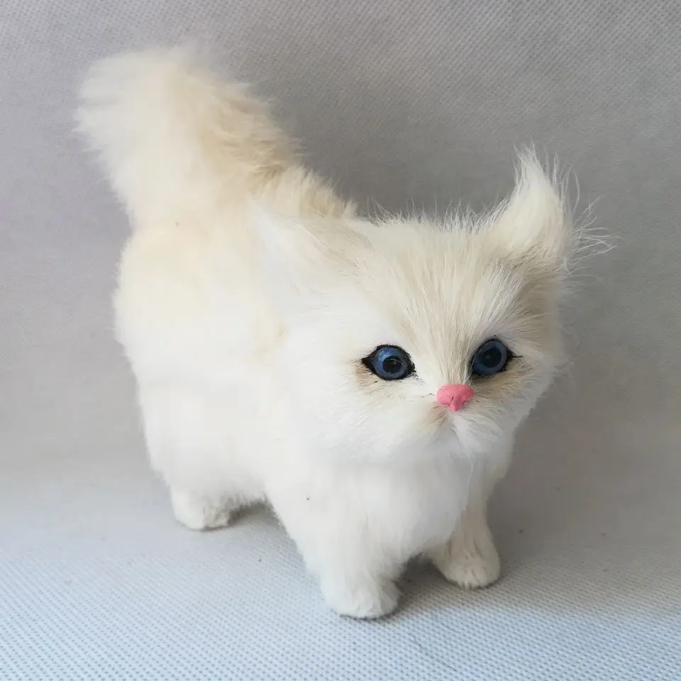 real life stuffed cat