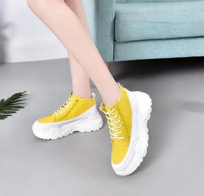 36020190320091432677