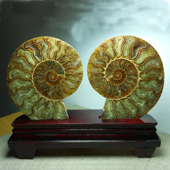

72g Split Ammonite Fossil Specimen Shell Healing Madagascar ++++++