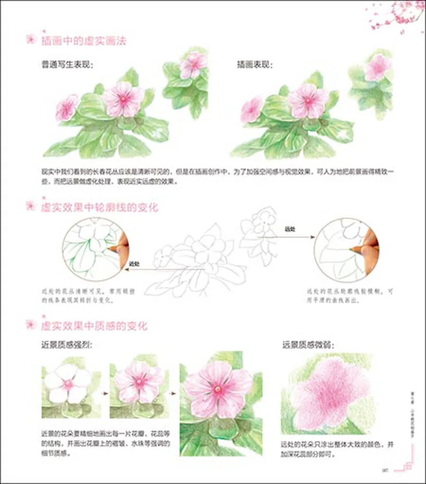 Красота любовный цветочных растений Живопись Рисунок книга рисованной иллюстратор методы учебник книги