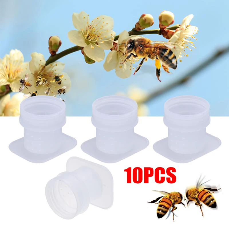 10 Pcs Plastic Bee Feeder Drinking Fountain For Bees Queen Bee Drinking