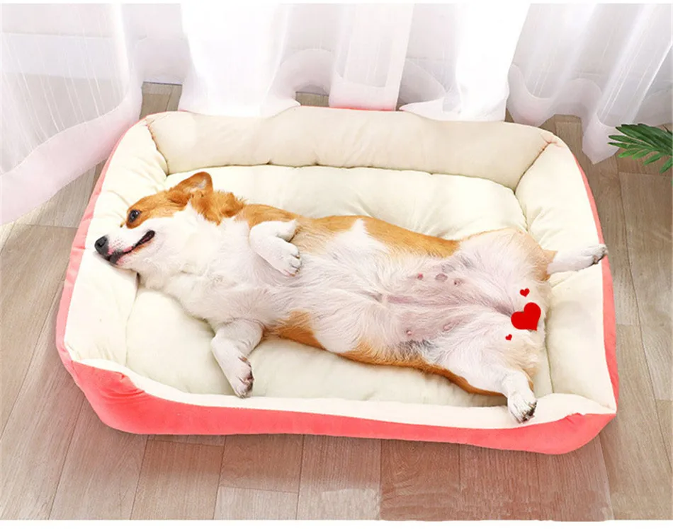 250ea35304cde8f5431c6c1866d25656_8854858827_527927268