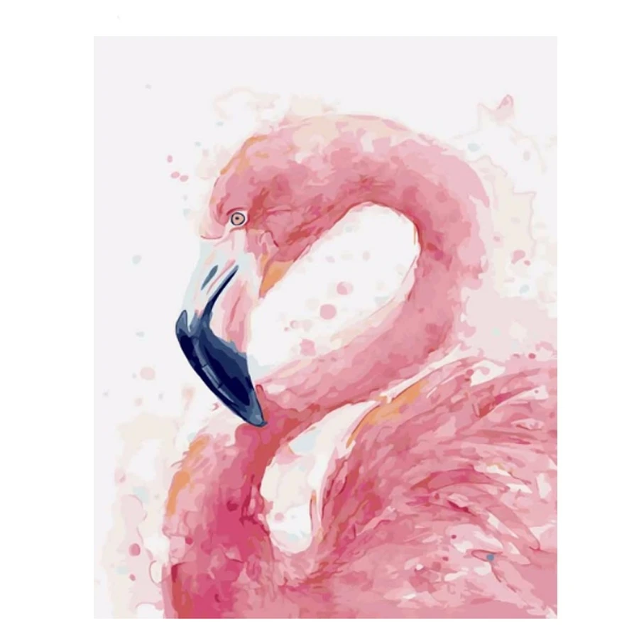 Colorful Flamingo_