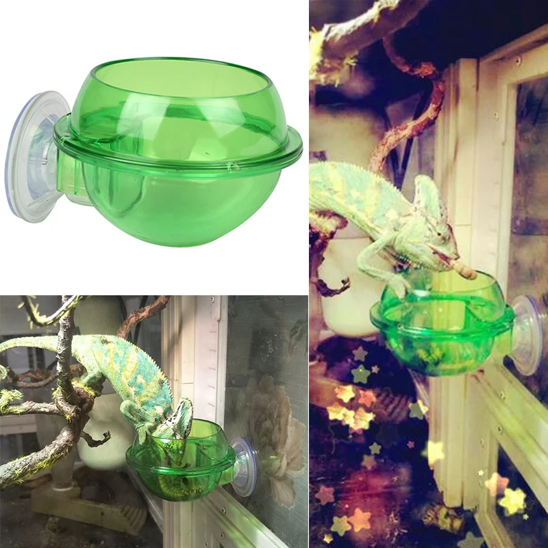 Reptile Pets Water Food Sucker Feeder Food Bowl Breeding Tank Box Dish For Arboreal Pets Plastic Materies