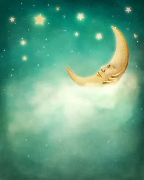 

SHENGYONGBAO 5x7ft Vinyl CustomSky Theme Photography Backdrops Prop Digital Background TTK-1016