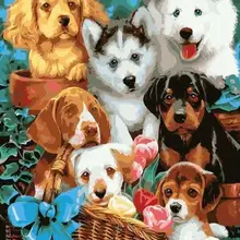 1225 Happy корзина для собак-краска комплекты номеров для взрослых DIY