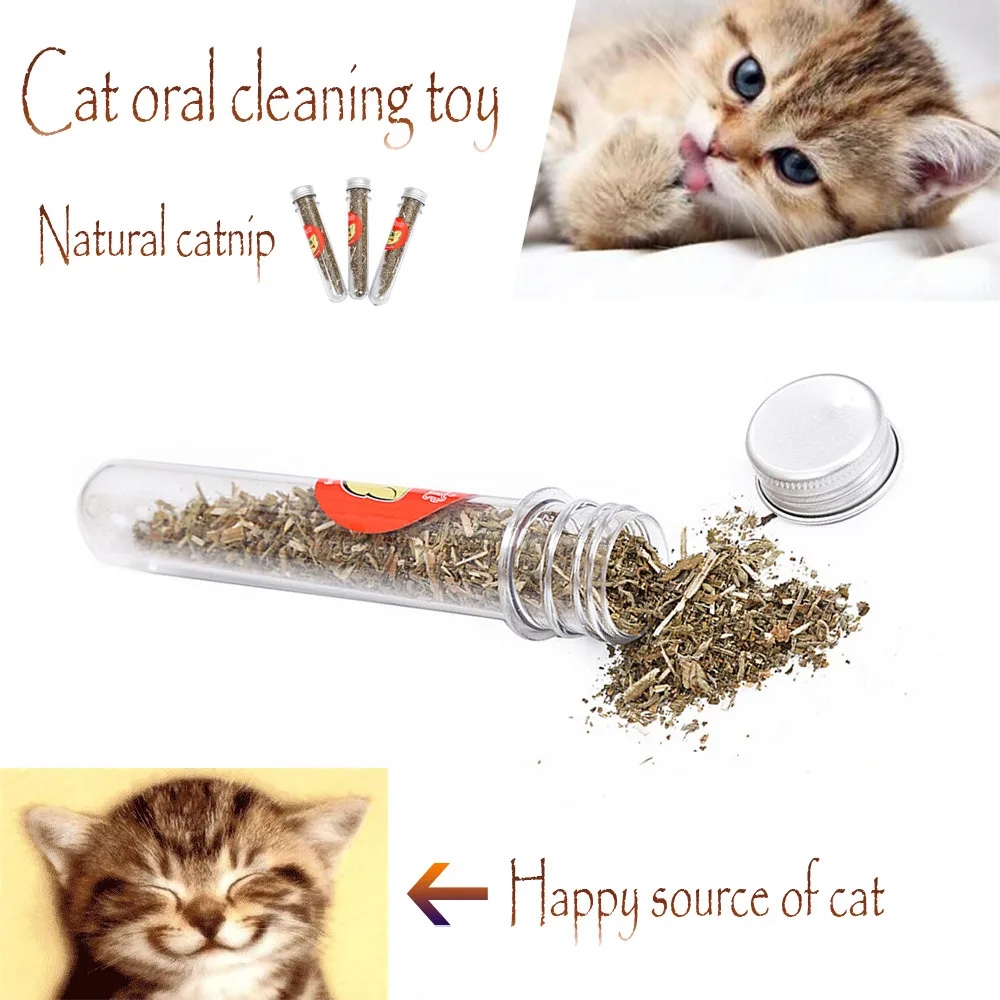 

Pet Cat Supplies Natural Catnip Toys Clean Oral Pet Toys Cat Mint Natural Health