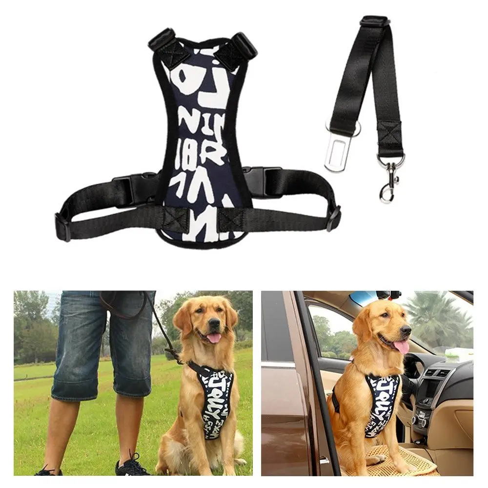 seat belts (7)