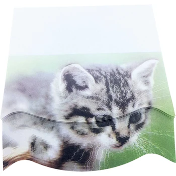 

4A 3D Shape Printed Sticky Notes,Kawaii Cute Sticky Note,Printed With American Wirehair,Self-Stick Notes,3.35'' x 3.75'',4A 8073