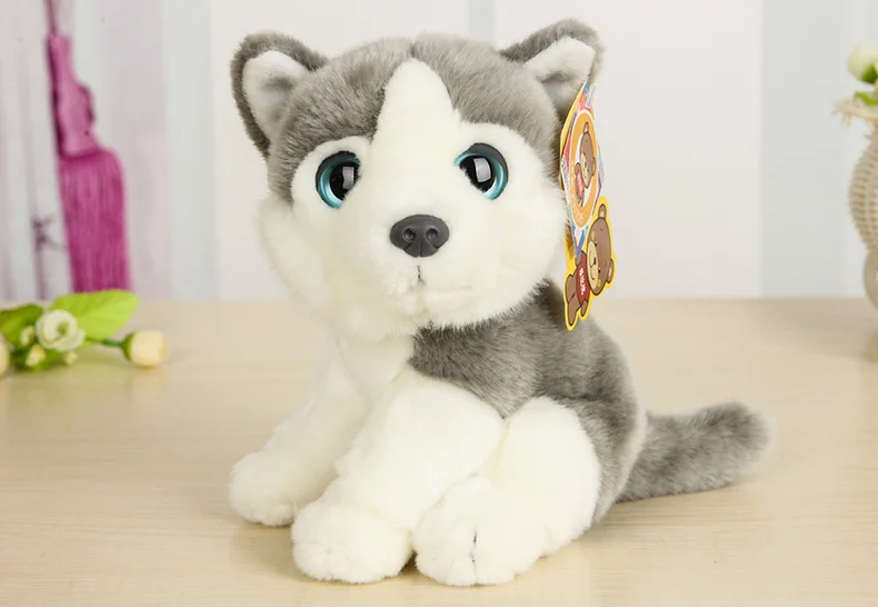 shipping puppies get cheap husky puppies aliexpress alibaba shipping puppies get cheap husky puppies aliexpress alibaba