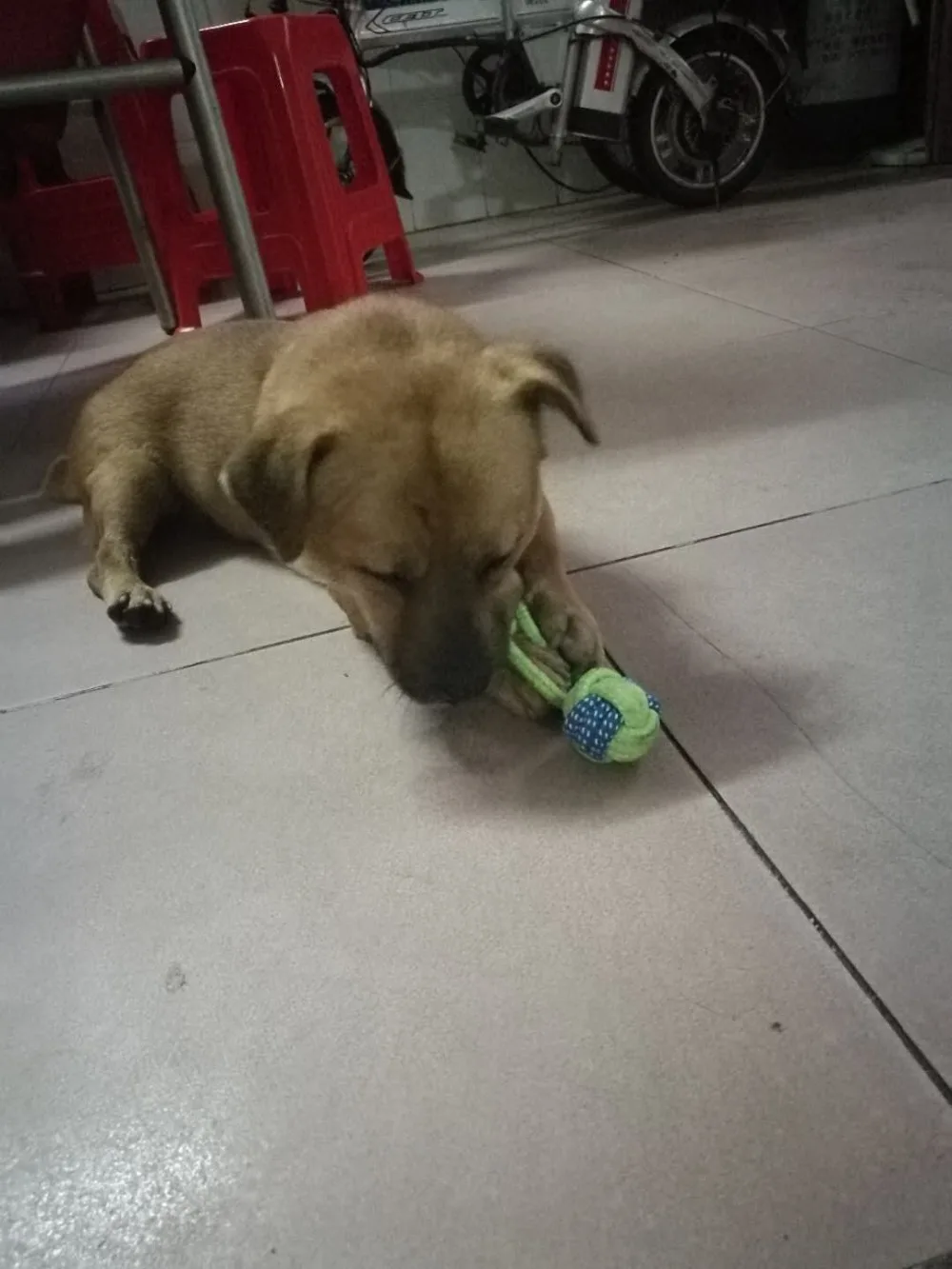 微信图片_20190612212305