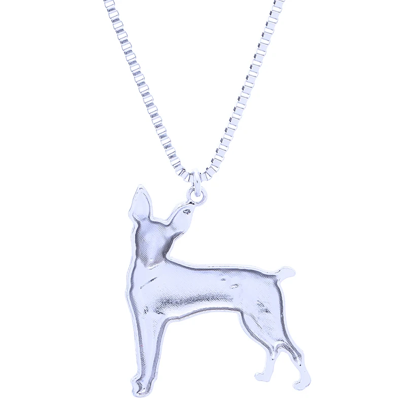 toy fox terrier (8)