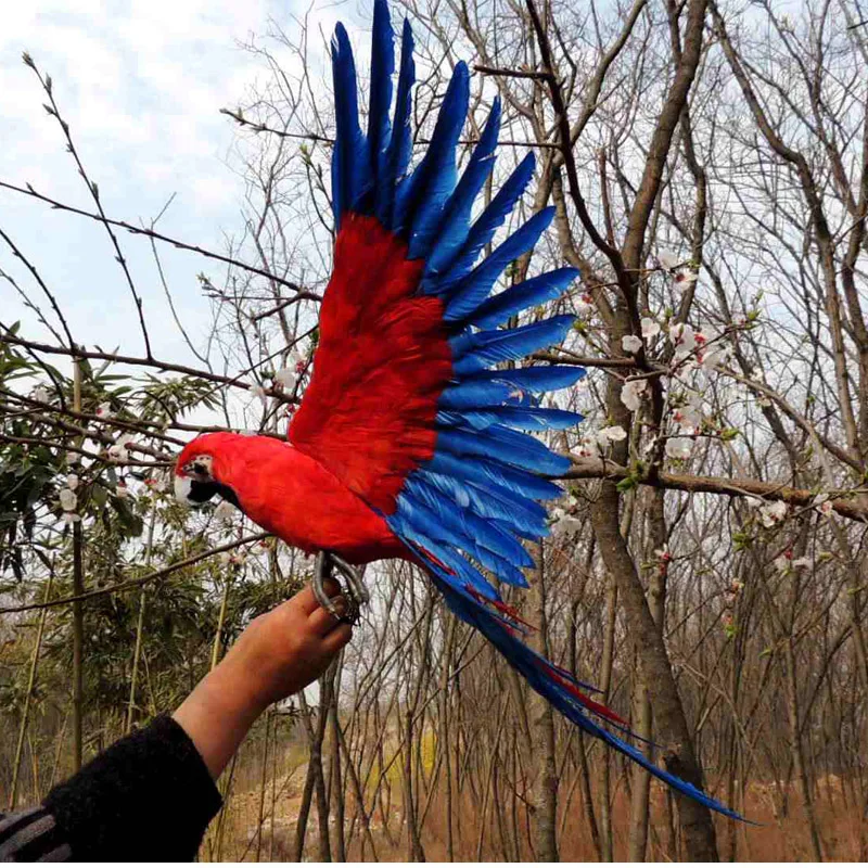 Новинка, игрушка-попугай из пластика и меха, красный и синий попугай, модель в подарок, около 45x60 см