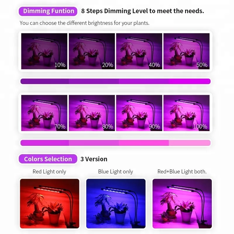 B (3)