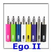 EGI
