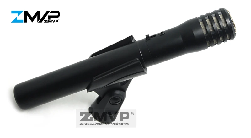 Free Shipping! PG Professional Cardioid Instrument
