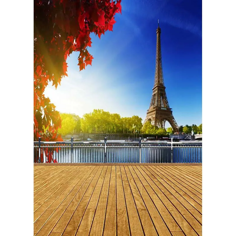 Mehofoto Eiffel Tower Backdrop for Photography Morning Photo Background for Booth Studio Computer Printed Y-499