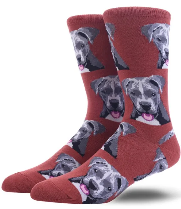 AA351 Скейтборд Chaussette Homme мода Фрукты Ананас черешня для женщин зимние мужчин унисекс носки для девочек хип хоп Street Crew Meias заб - Цвет: AA351