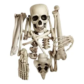 

19 pcs Halloween for Party Haunted Room Escape Artificial Human Skeletons Haunted Home Props Broken Bone Skull Insult Horror