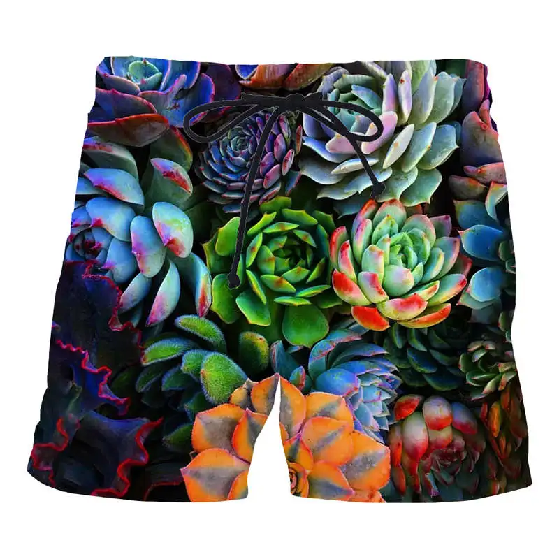 Succulent пляжные шорты Веселая 3D-печать мужские повседневные шорты модные мужские летние горячие мужские крутые шорты
